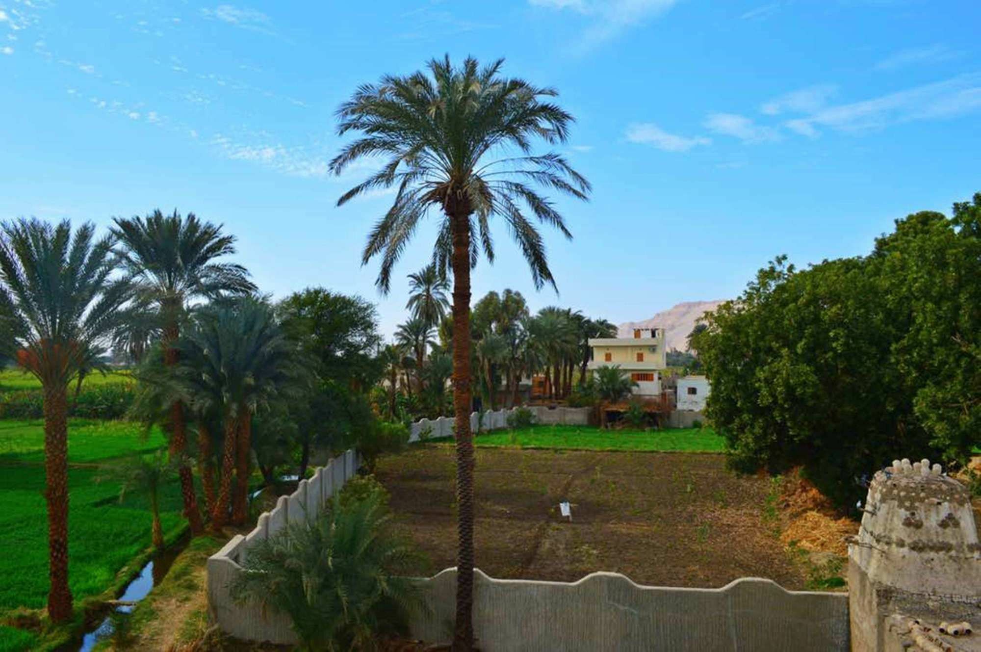 Farida Apartments Luxor Buitenkant foto