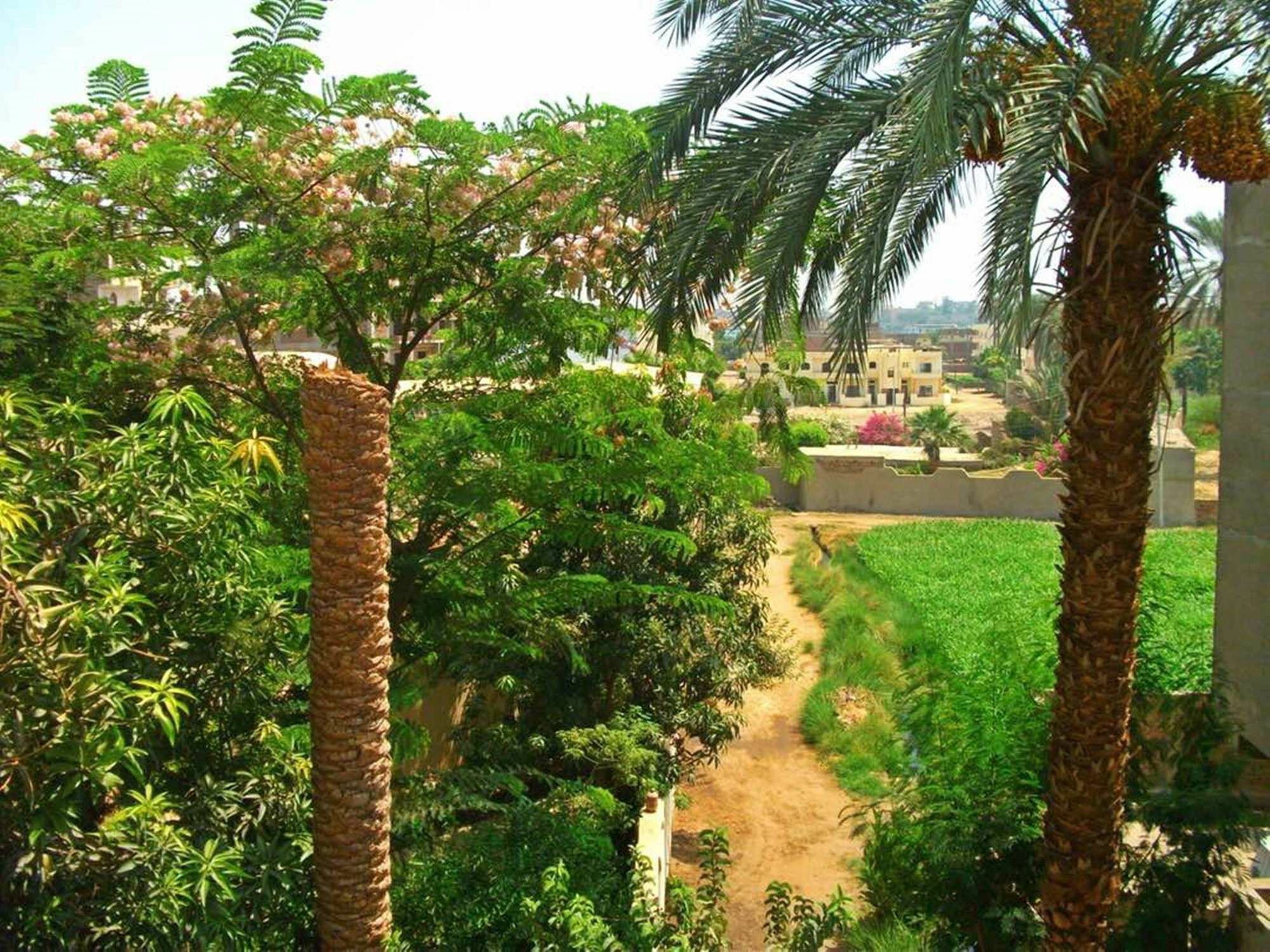 Farida Apartments Luxor Buitenkant foto