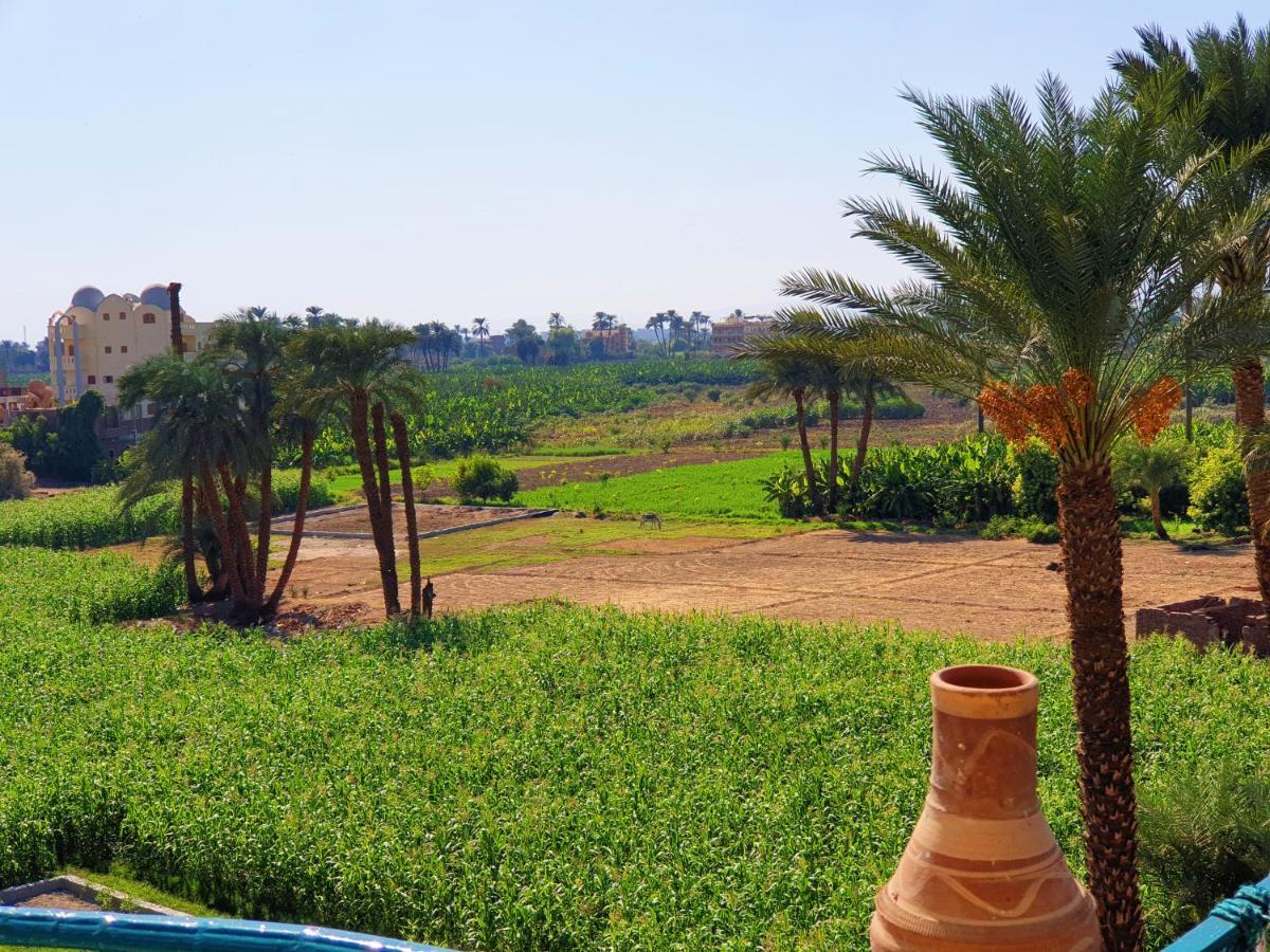 Farida Apartments Luxor Buitenkant foto