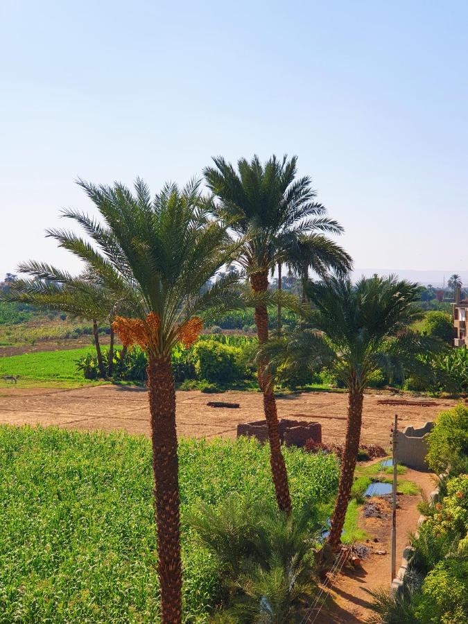 Farida Apartments Luxor Buitenkant foto